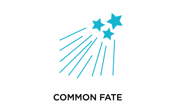 Gestalt principle of common fate