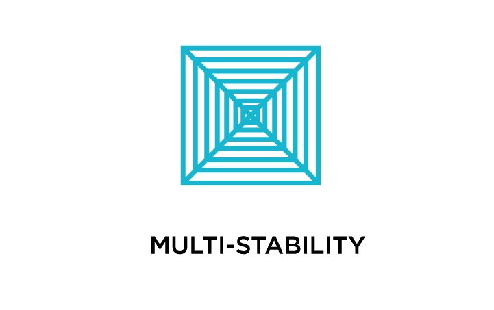 Gestalt principle of multistability