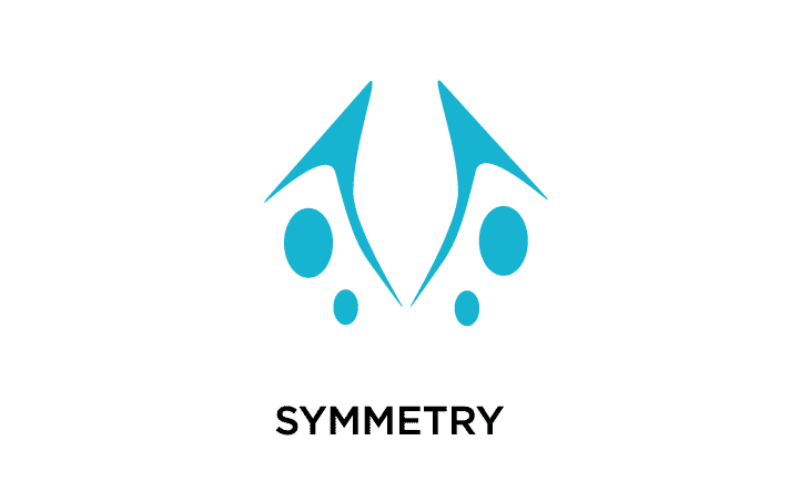 Gestalt principle of symmetry and order